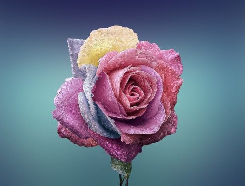 roses artificielles