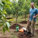 découvrez les erreurs à éviter lors de la plantation d'arbres fruitiers pour assurer leur bonne croissance et une récolte abondante.