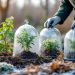 découvrez des conseils pratiques pour protéger efficacement vos plantes du gel en hiver et préserver leur santé tout au long de la saison froide.