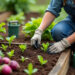 redécouvrez les légumes oubliés et apprenez à les planter dans votre potager pour cultiver des variétés originales et savoureuses.