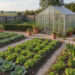 Jardin résidentiel français réaliste avec potager bien entretenu, allées de gravier, haies taillées et serre en verre fermée dans une douce lumière matinale.
